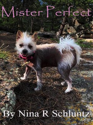 cover image of Mr. Perfect